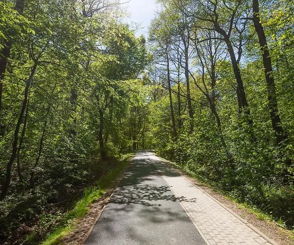 Blue Mare Polanki Park Tropical E208 *